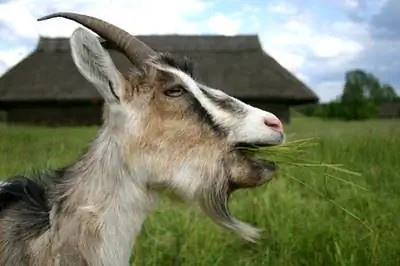 Как загрузить триммер для струн Ryobi 105R