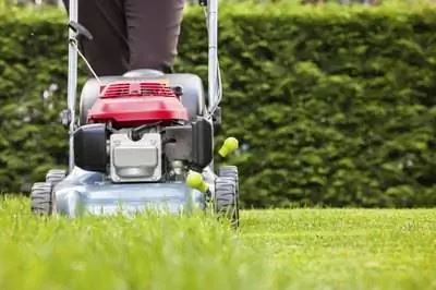 Характеристики газонокосилки Toro 6.5 GTS