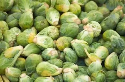 Как обрезать брюссельскую капусту