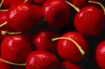 Виды карликовых вишен