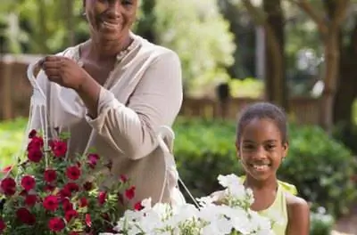 Как посадить растения в септической системе из песчаной насыпи