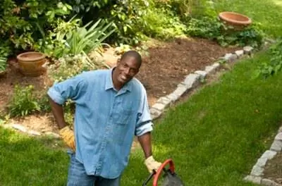 Fan-Tex Уход за ясенем