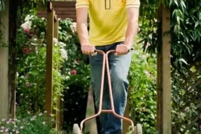 Использование стирального порошка для газона