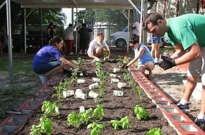 Трефлан для огородов