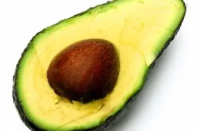 Факты о дереве авокадо