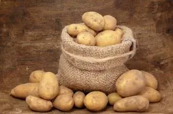 картофель картофель