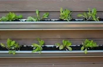 Салат, растущий в желобах