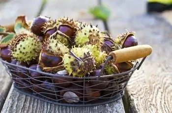 Каштаны в корзине с сушеными листьями на деревянном столе