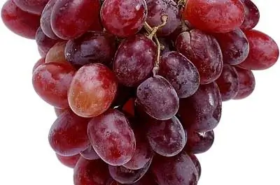 Продолжительность жизни виноградных лоз