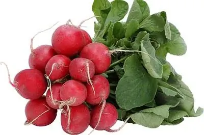 Как пересадить редис