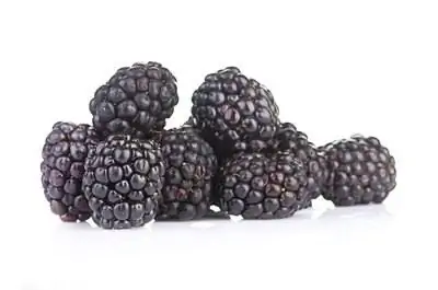 Выращивание Марионберри