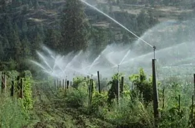 Клапан Rain Bird не отключается