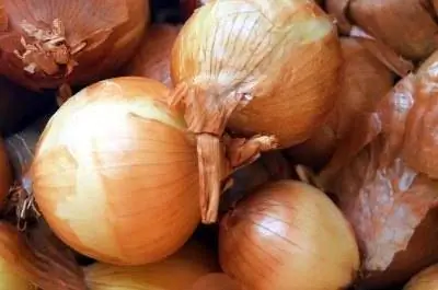 Сорта сладкого лука