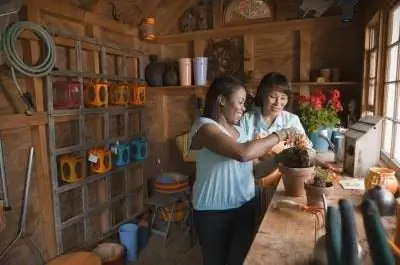 Как пересаживать филодендрон