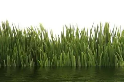 Как осушить мокрые клумбы