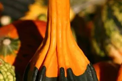 Как сделать погремушку из тыквы