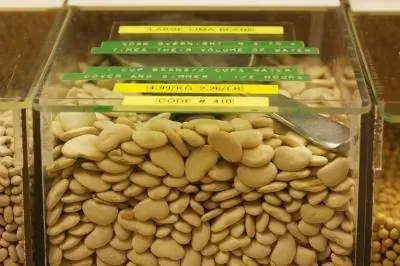 Какие условия нужны лимской фасоли для роста?