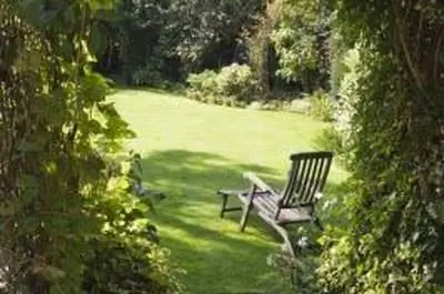 Советы, как не дать оленям съесть плющ