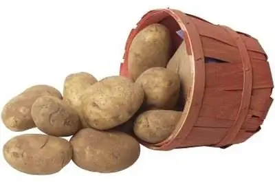 Насекомые, которые едят картофель
