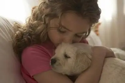 Коричневые пятна на обратной стороне листа хойи