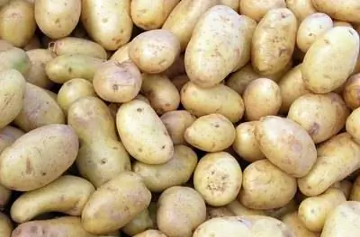 Овощи, которые растут в Монтане