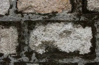 Как очистить кирпичный дворик от мха