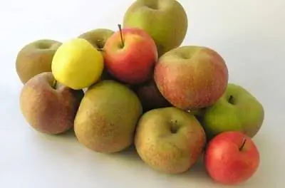 Фруктовые и ореховые деревья в Вашингтоне