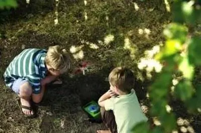 Как вырастить траву на мертвых участках