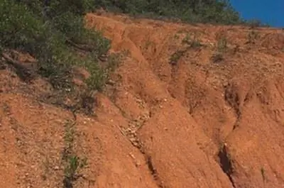 Виды эрозии почвы