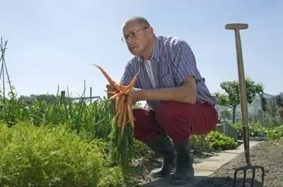 Овощи, которые нужно выращивать зимой в Финиксе, штат Аризона