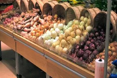 Лучшие овощи для выращивания на продажу