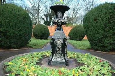 Как бороться с щитовками на кустарниках