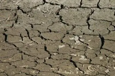 Проблемы с глинистой почвой