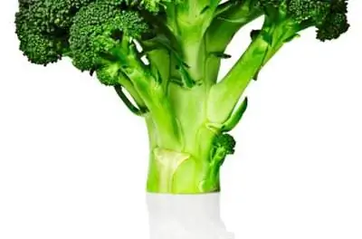 Как вырастить брокколи в теплице