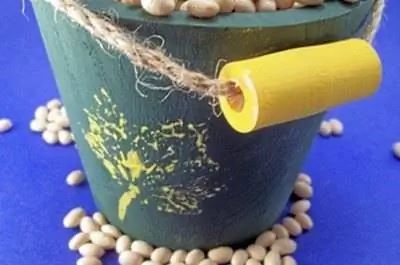 Анатомия семени фасоли