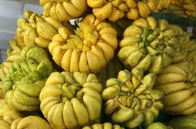 Список тропических фруктовых деревьев Флориды