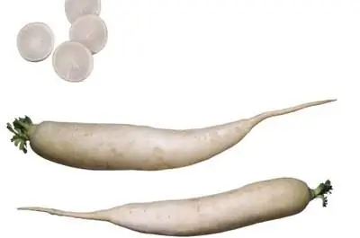 Когда собирать редис Дайкон