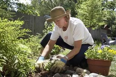 Как сделать гормон укоренения