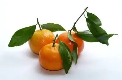 Как вырастить клементины из семян