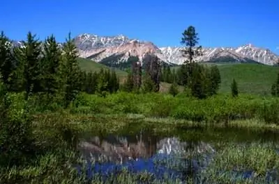 Лучшие цветы для Айдахо