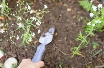 Изображение Изображение