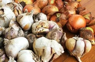 Как пересадить лук