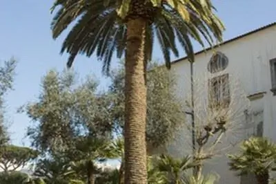 Разные виды травы Зойсии