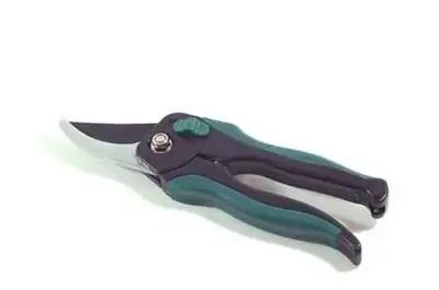 Как обрезать куст клетры