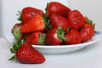 Лучшая клубника для посадки в Теннесси