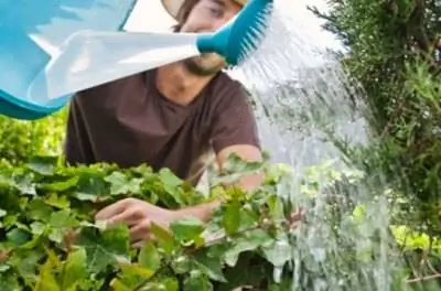 Натуральные альтернативы севину в саду