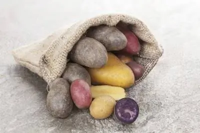 Когда сажать картофель в Колорадо