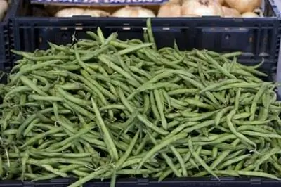 Список овощей, выращенных в кустах