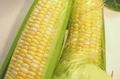 Как удобрять сладкую кукурузу азотом