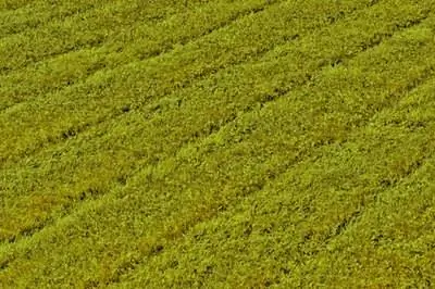 Проблемы с John Deere L110